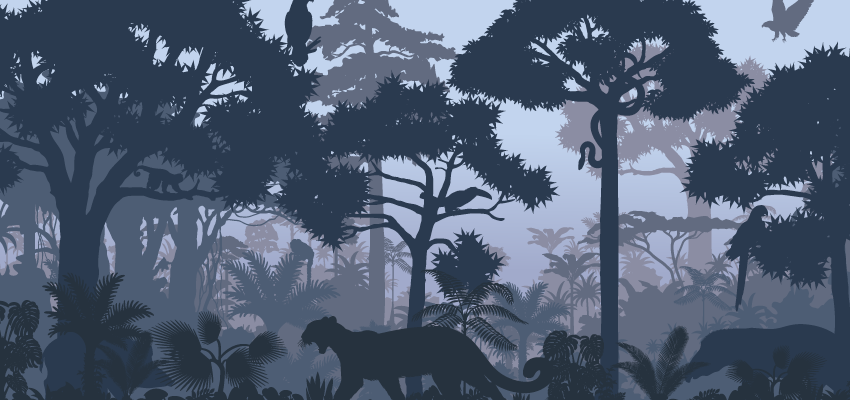 An illustration of animals in a dark woodland